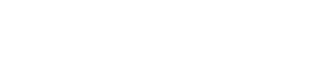 Neksora One — Strategy, Connection, Growth